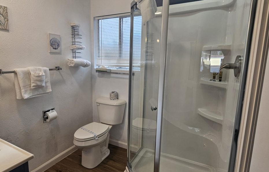 2 Queen Beds & Kitchen Deluxe Room  / Pool View