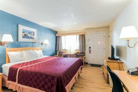 1 King Bed ADA  Standard Room  – Pool View