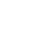 icons8-pet-100