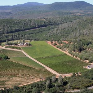 Gregory Graham Winery Lake County Wineries Skylark Shores Resort