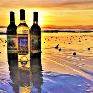 Kaz Winery Lake County Wineries Skylark Shores Resort